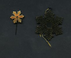 1988